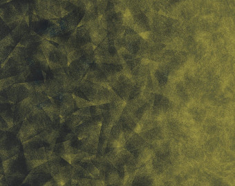 [1001111160_41] Flotex by Starck - 324012 Artist emerald / chartreuse B4